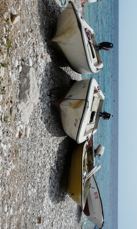 P1060454_crm.jpg