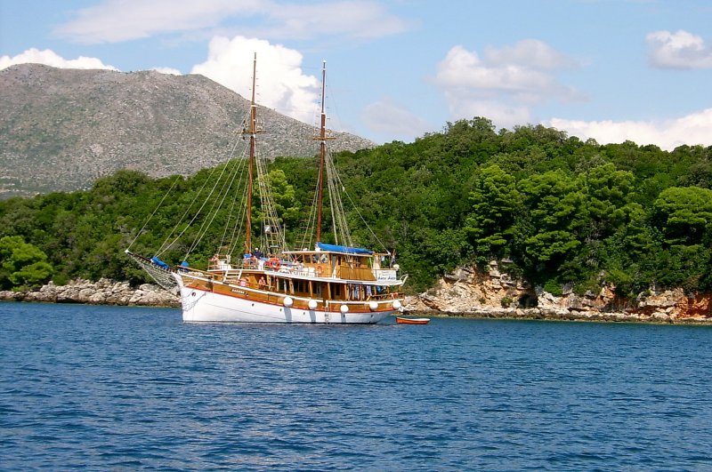 S3601538m.jpg