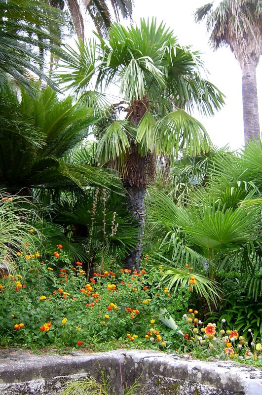 S3602116m.jpg