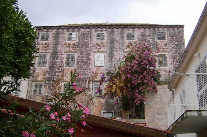 S3600212.JPG