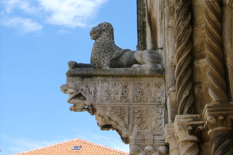 S3600311.JPG