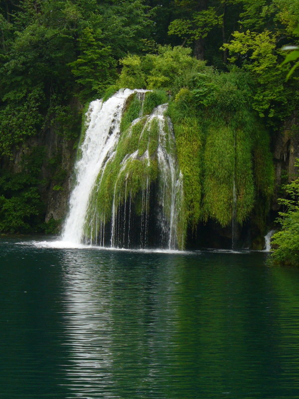 P1000762.JPG