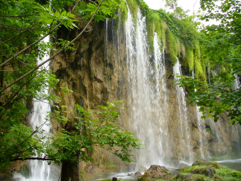 P1000818.JPG