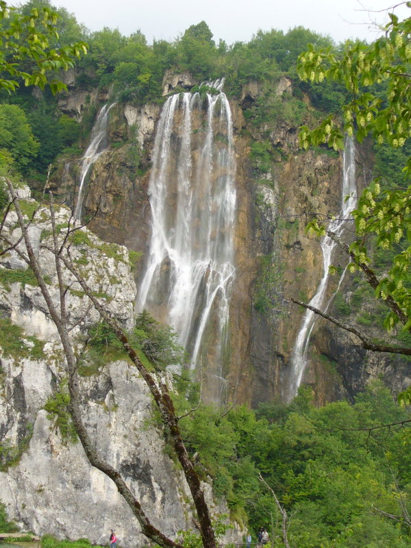 P1000895.JPG