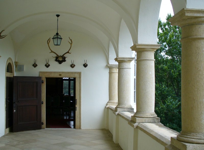 P1000679m.jpg