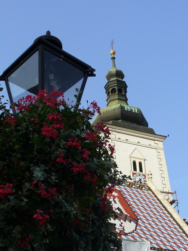 P1030495.JPG