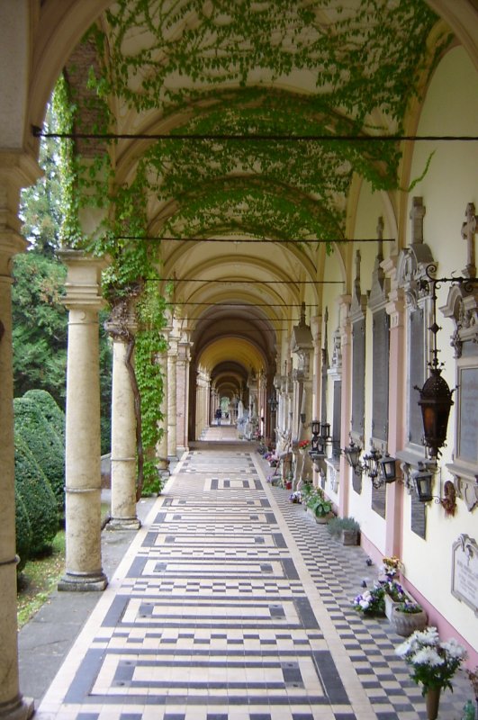 S3600795.JPG