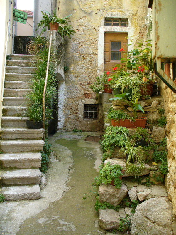P1010232.JPG
