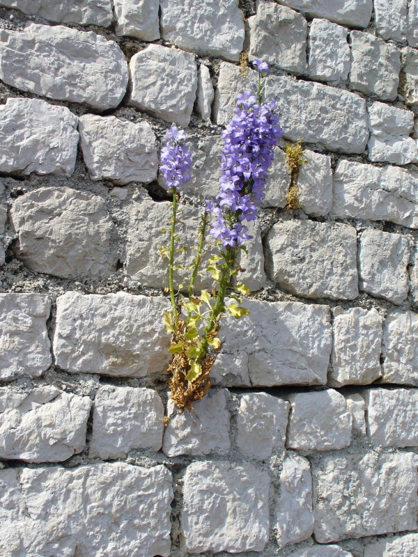 P1010993.JPG