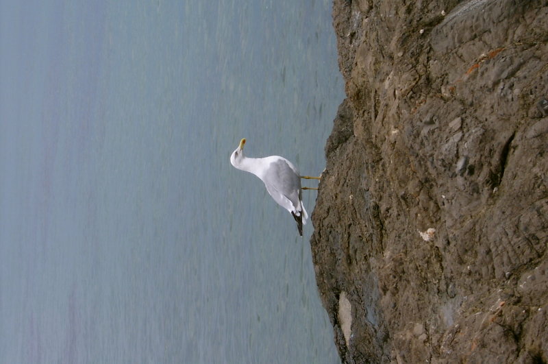 S3600849.JPG