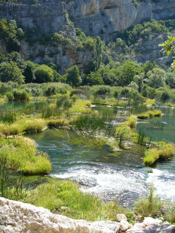 P1010556.JPG