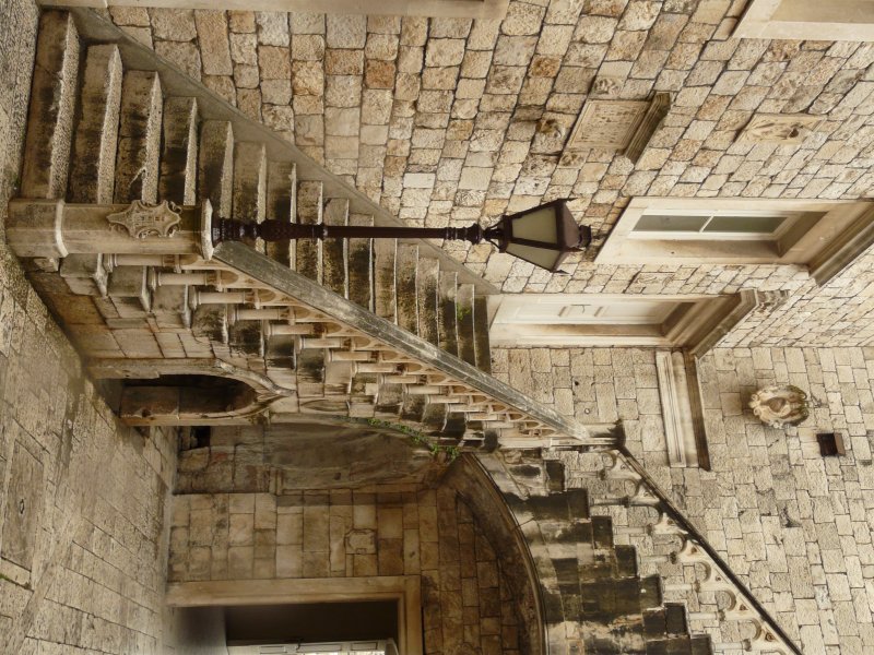 P1050977mm.JPG