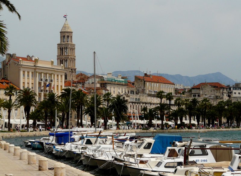 P1060515m.jpg