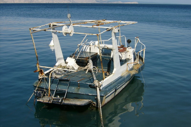 S3600191.JPG