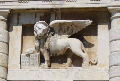 P1010782_cr.jpg