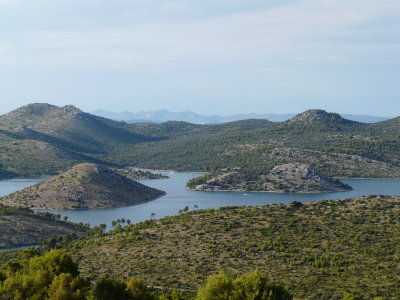 P1020055.JPG