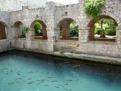 P1060412.JPG