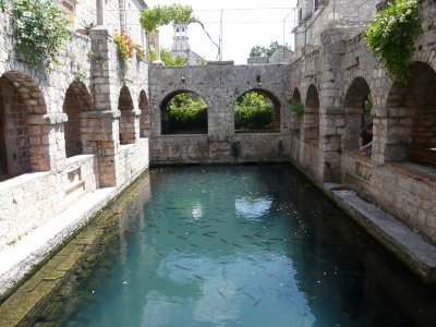 P1060426.JPG