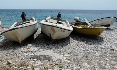 P1060454_cr.jpg