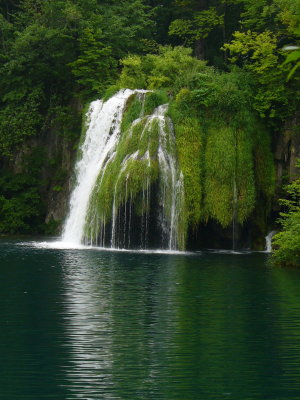 P1000762.JPG