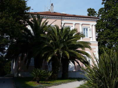 P1010143.JPG