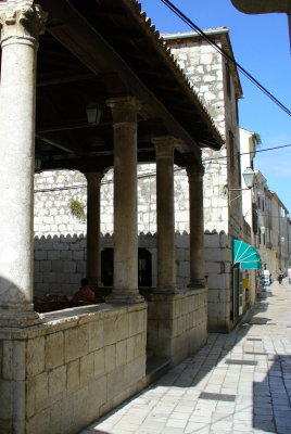 P1010987_cr.jpg