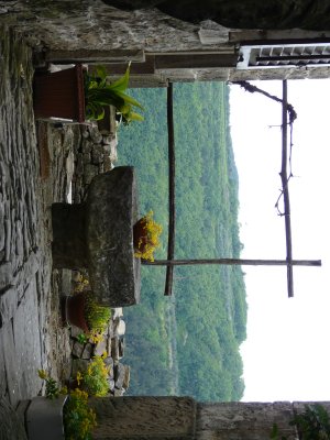 P1000368r.jpg