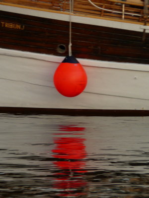 P1000570.JPG