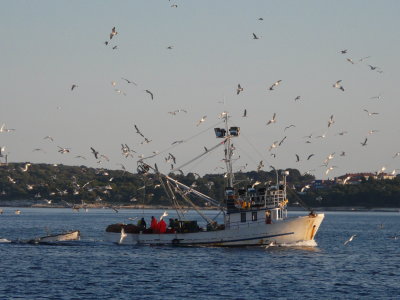 P1000612.JPG