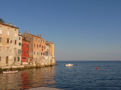 P1000629.JPG