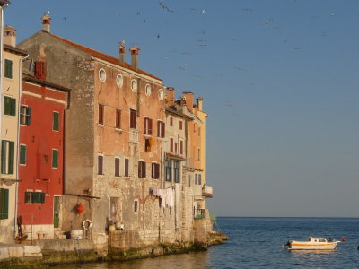 P1000634.JPG