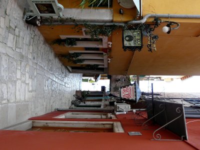 P1000837m.jpg
