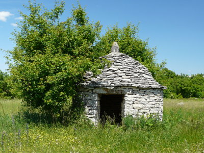 P1010022.JPG