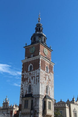 IMG_9728.JPG