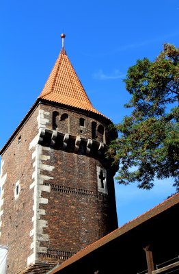 IMG_9783m.JPG