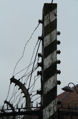 IMG_9161m.JPG