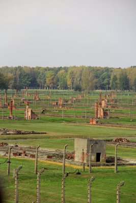 IMG_9374m.JPG
