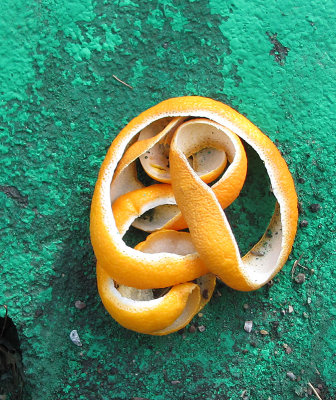 Organic Mobius