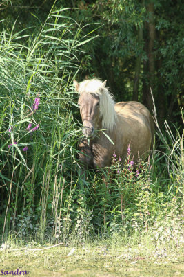 Bekeken worden (2)