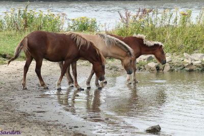Samen drinken