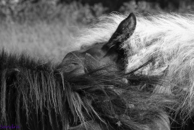 Close-up verzorging (serie 1)