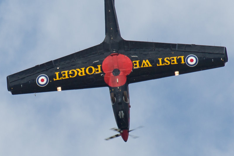 riat2014tucano