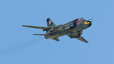 8V9C2666.jpg