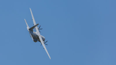 8V9C2983.jpg