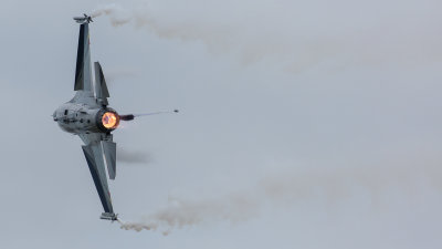 8V9C3489.jpg