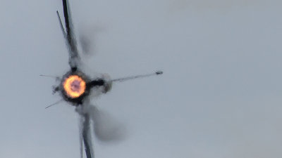 8V9C3490.jpg