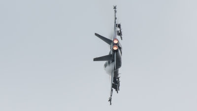 RIAT2014 - F18 'A Hornets Nest'