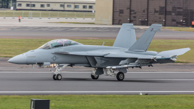 RIAT2014 - F18 'A Hornets Nest'