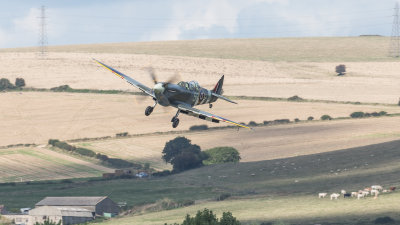 8V9C7764.jpg