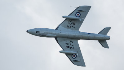 8V9C7977.jpg